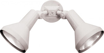 2 Light - 15'' Flood Light PAR38 with Adjustable Swivel - White Finish (81|SF77/488)