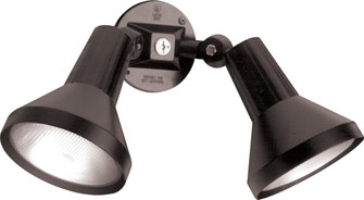 2 Light - 15'' Flood Light PAR38 with Adjustable Swivel - Black Finish (81|SF77/701)