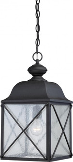 Wingate - 1 Light - Hanging Lantern with Clear Seed Glass - Textured Black Finish (81|60/5624)
