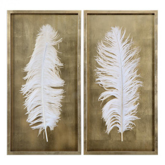 Uttermost White Feathers Gold Shadow Box Set/2 (85|04057)