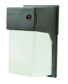 BWSW2400 LED Security Outdoor Light - Bronze (1|BWSW2400L41RB)