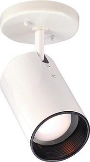 1 Light - R20 Straight Cylinder - White Finish (81|SF76/412)