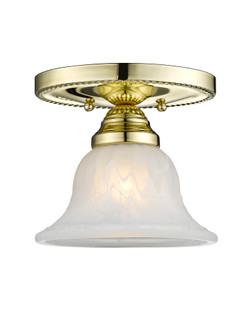 1 Light Polished Brass Ceiling Mount (108|1530-02)