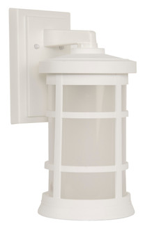 Resilience 1 Light Medium Outdoor Wall Lantern in Textured White (20|ZA2314-TW)
