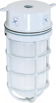 1 Light - 11'' Vapor Proof - Surface Mount with Frosted Glass - White Finish (81|SF76/616)