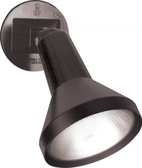 1 Light - 8'' Flood Light PAR38 with Adjustable Swivel - Black Finish (81|SF77/700)