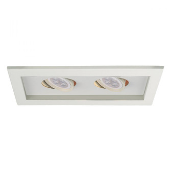Low Voltage Multiple Two Light Trim (16|MT-216LED-WT/WT)