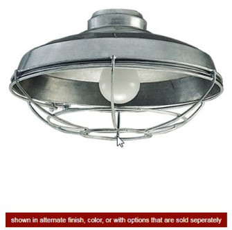 1 Light Wire Cage Light Kit in Flat Black (20|LK984FB)