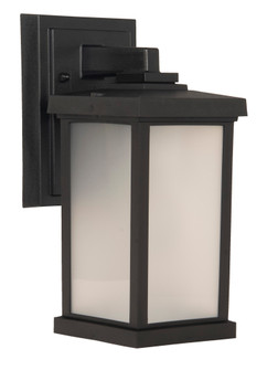 Resilience 1 Light Small Outdoor Wall Lantern in Textured Black (20|ZA2404-TB)