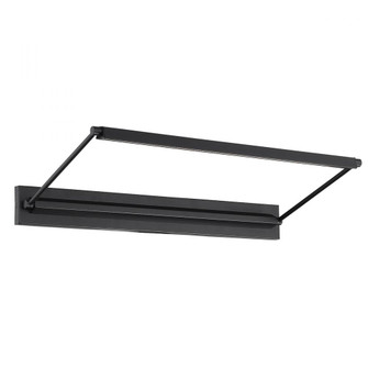 HUDSON 24IN PICTURE LIGHT (16|PL-LED23-30-BK)