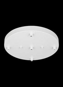 Multi-Port Canopy Five Light Cluster (38|7449405-15)
