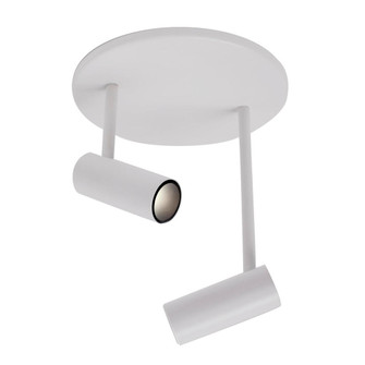 Downey 1-in White 2 Head Dimmable LED Semi Flush Mount (461|SF15002-WH)