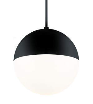 Punk Pendant Light (3612|PD-24614-BK)