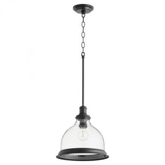 CLR/SEED w/RING PEND -TXB (83|6193-12-69)