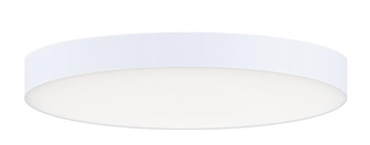 Trim-Flush Mount (19|57662WTWT)