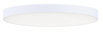 Trim-Flush Mount (19|57663WTWT)