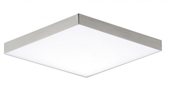Trim-Flush Mount (19|57667WTSN)