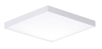 Trim-Flush Mount (19|57667WTWT)