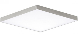 Trim-Flush Mount (19|57669WTSN)