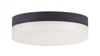 Illuminaire II-Flush Mount (19|57682CLFTBZ)