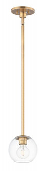 Branch-Single Pendant (19|98410CLNAB)