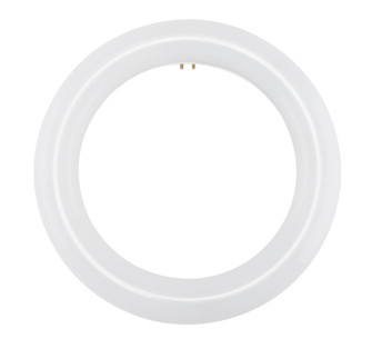 LED Circline; 11 Watt; T9; 6500K; G10Q Base; 120-277 Volt; Type B; Ballast Bypass (27|S16502)