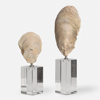 Uttermost Oyster Shell Sculptures Set/2 (85|17523)