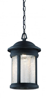 9'' LED Hanging Lantern (21|LED31134A-ORB)