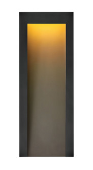 Large LED Wall Sconce (87|2145TK)