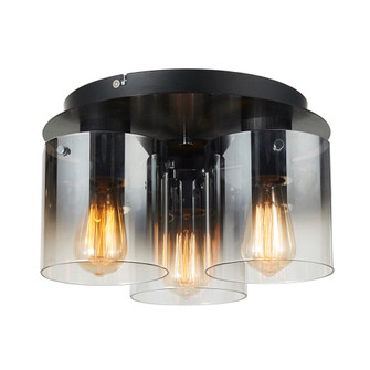 Flush Mount (12|AC11524SM)