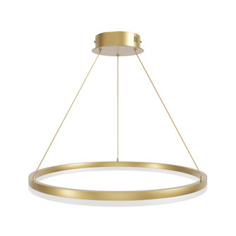 Circa 24''W LED Ring Pendant in Gold (4450|HF5027-GL)