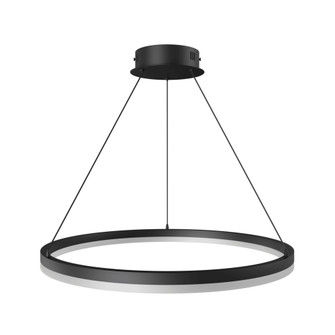 Circa 24''W LED Ring Pendant in Black (4450|HF5027-BK)