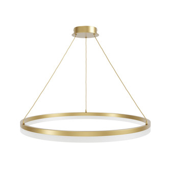 Circa 40''W Ring LED Pendant in Gold (4450|HF5029-GL)