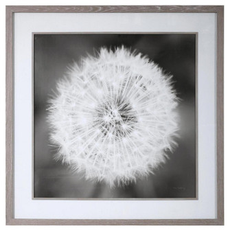 Uttermost Dandelion Seedhead Framed Print (85|33711)