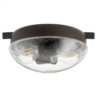 2LT CLR/SEED WET LK-OB (83|1370-86)