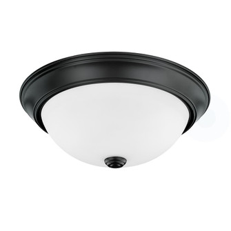 2 Light Flush Mount (42|214722MB)