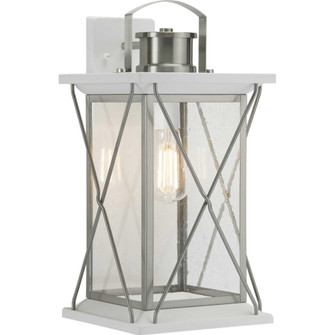 Barlowe Collection Stainless Steel One-Light Large Wall Lantern (149|P560158-135)