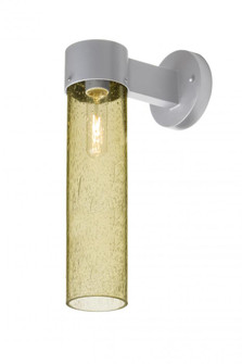 Besa, Juni 16 Outdoor Sconce, Gold Bubble, Silver Finish, 1x60W Medium Base (127|JUNI16GD-WALL-SL)