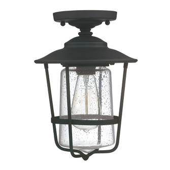 1 Light Outdoor Flush Mount (42|9607BK)