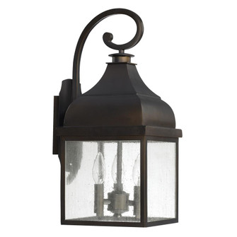 3 Light Outdoor Wall Lantern (42|9642OB)