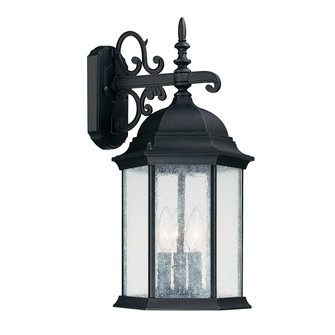 3 Light Outdoor Wall Lantern (42|9834BK)