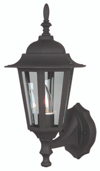 Straight Glass Cast 1 Light Small Outdoor Wall Lantern in Textured Black (20|Z150-TB)