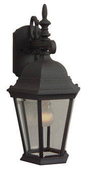 Straight Glass Cast 1 Light Medium Outdoor Wall Lantern in Textured Black (20|Z254-TB)