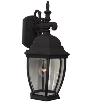 Bent Glass Cast 1 Light Medium Outdoor Wall Lantern in Textured Black (20|Z284-TB)