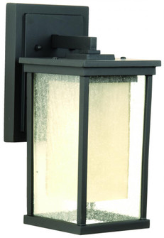 Riviera 1 Light Medium Outdoor Wall Lantern in Oiled Bronze Outdoor (20|Z3714-OBO)