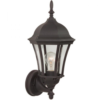 Curved Glass Cast 1 Light Medium Outdoor Wall Lantern in Textured Black (20|Z380-TB)