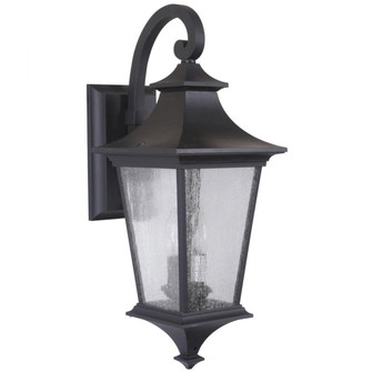 Argent II 2 Light Medium Outdoor Wall Lantern in Midnight (20|Z1364-MN)