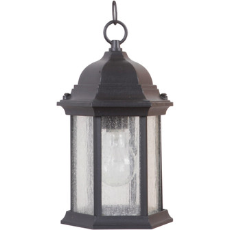 Hex Style Cast 1 Light Outdoor Pendant in Textured Black (Clear Seeded Glass) (20|Z291-TB-CS)