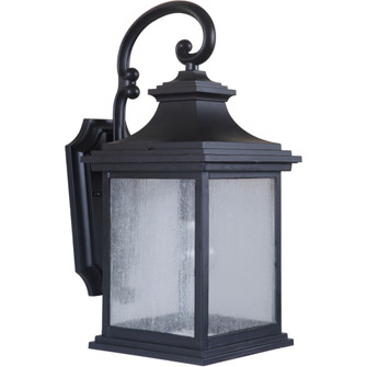 Gentry 1 Light Medium Outdoor Wall Lantern in Midnight (20|Z3214-MN)