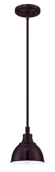 Timarron 1 Light Mini Pendant in Aged Bronze Brushed (20|35991-ABZ)
